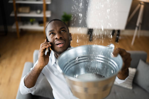 Best Water damage restoration near me  in New California, OH