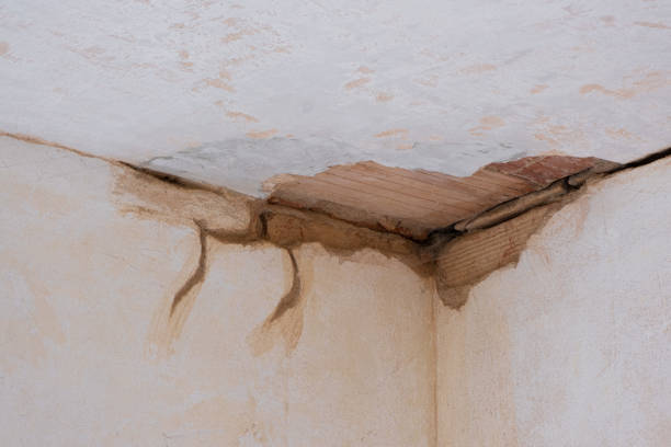 Best Water damage restoration near me  in New California, OH