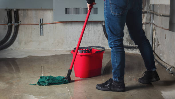 Best Water damage contractors near me  in New California, OH