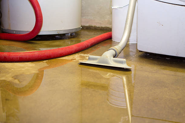 Best Sewage cleanup and water damage restoration  in New California, OH